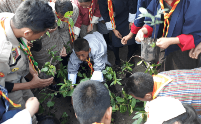 Plantation