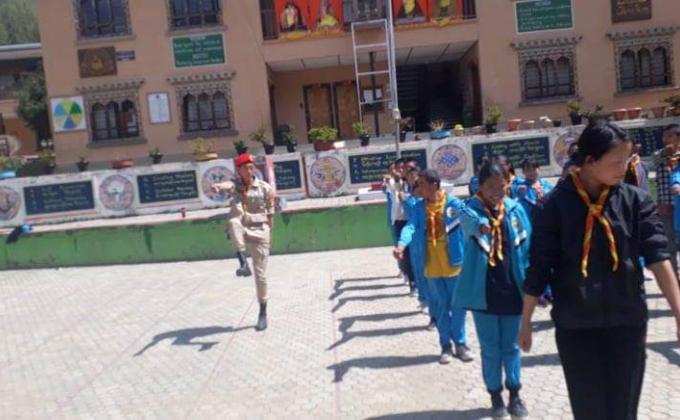 New saplings of scouts.