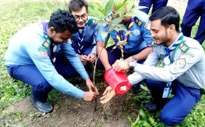 Tree Plantation