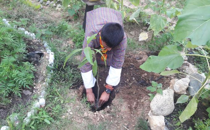 World Environmental Day