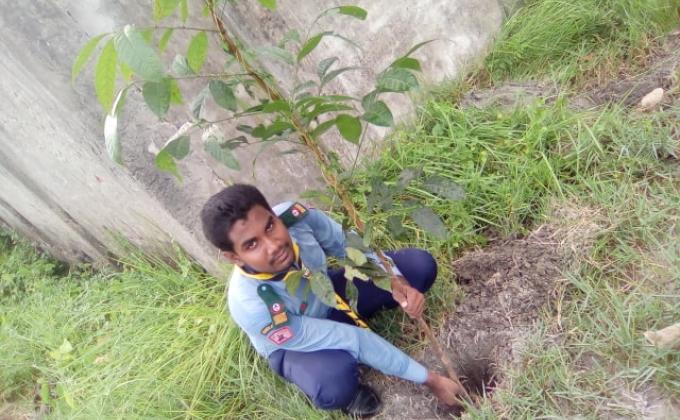 Plant more trees for better environment