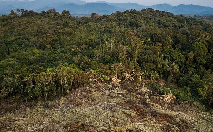 Voice for the planet