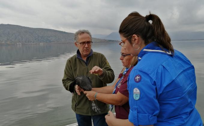 Rescuing wild life can be a difficult thing, but Scouts of Greece are up to the challenge