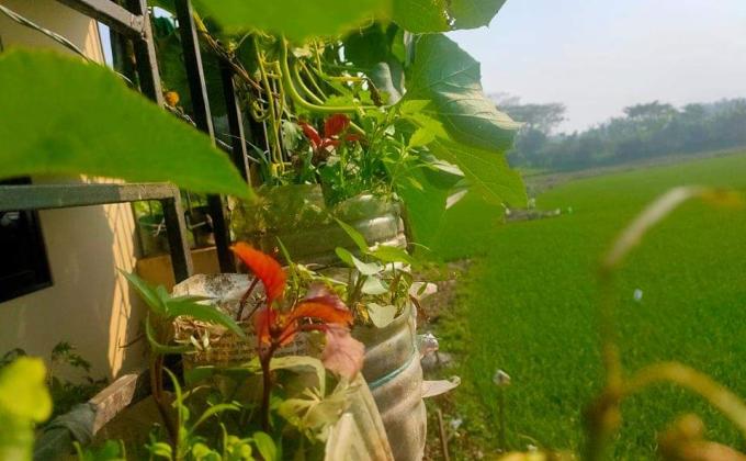 প্লাস্টিকের বিকল্প ব্যবহার করে বাগানের মডেল তৈরি