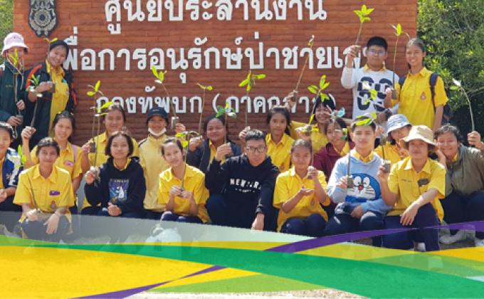 ปลูกป่าชายเลน