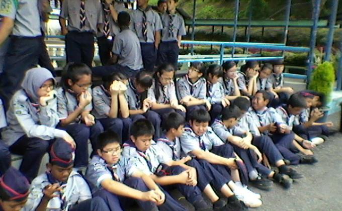 scouting in community through reforestation project