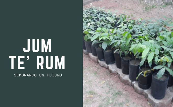 Jum Te Rum, Tegucigalpa. Honduras