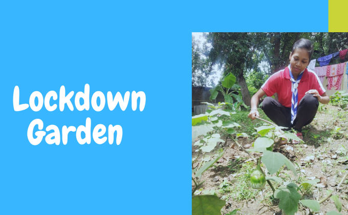 Activitie 5. Lockdown Garden (Sankalp) 