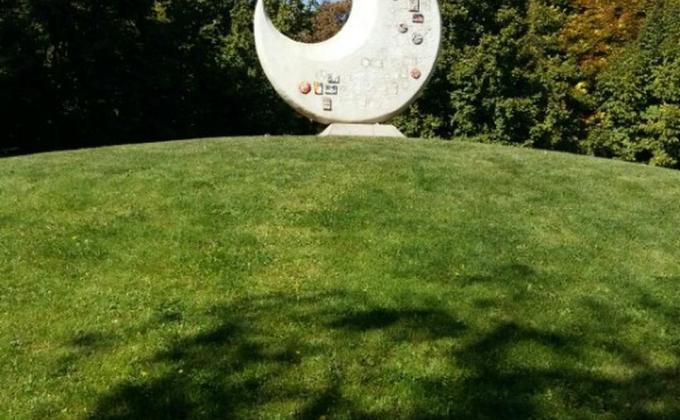 COLLECTION TUBİNG AND PLANTING  OAK TREE 