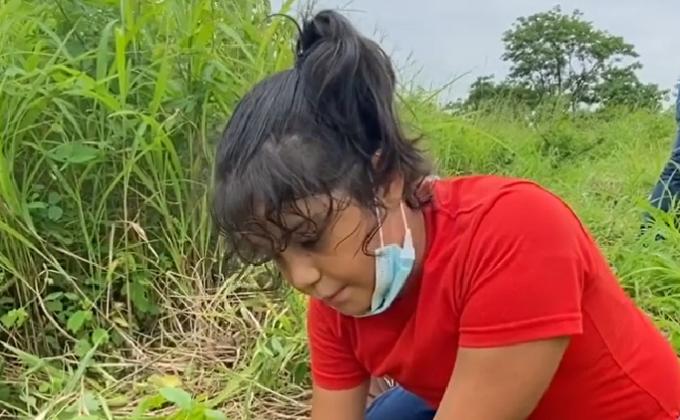 Project - Sankalp Group (B) - "Goorganic" BS&G D.H.Q. Jodhpur, Rajasthan, India