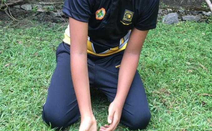 TREE PLANTING PROJECT