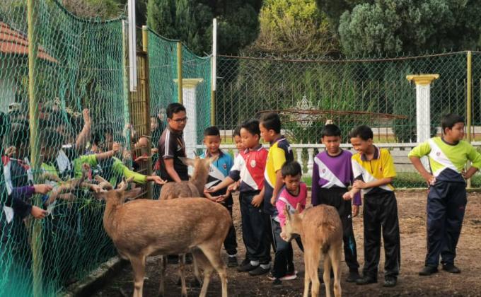 Perkhemahan Unit Beruniform : Pengakap kasihkan binatang
