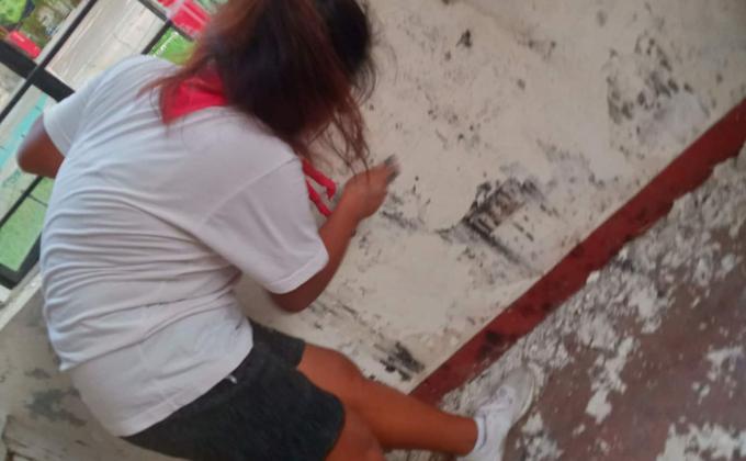 ENHANCEMENT OF THE HOME ECONOMICS BUILDING ( REMOVING THE PAINT COAT and REPAINTING THE WALL ( INTERIOR & EXTERIOR))