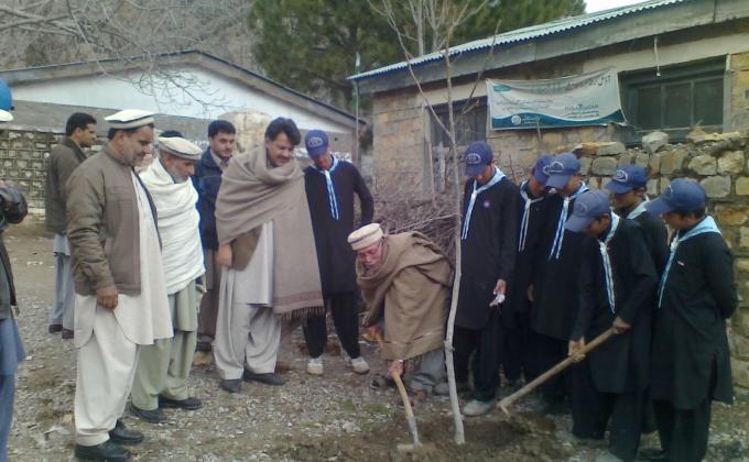 Tree Plantation