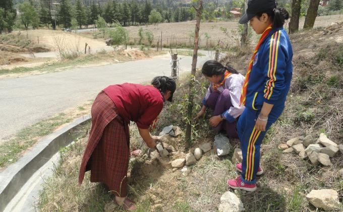 earth day plantation 