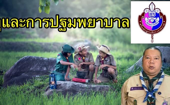 งูและการปฐมพยาบาลงูกัด