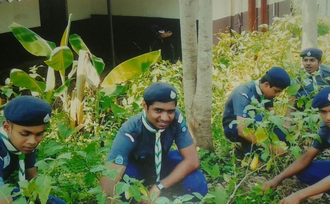 preservation of greenary