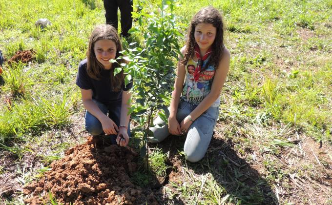 Trees For The World