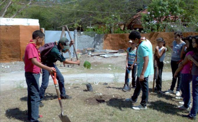 Actividad de Reforestación 