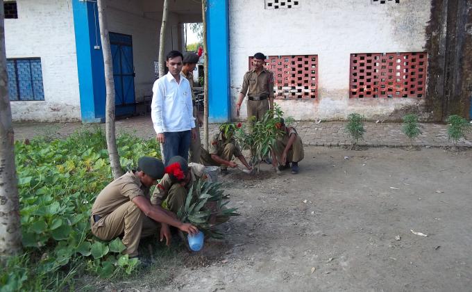 Tree Planting Program