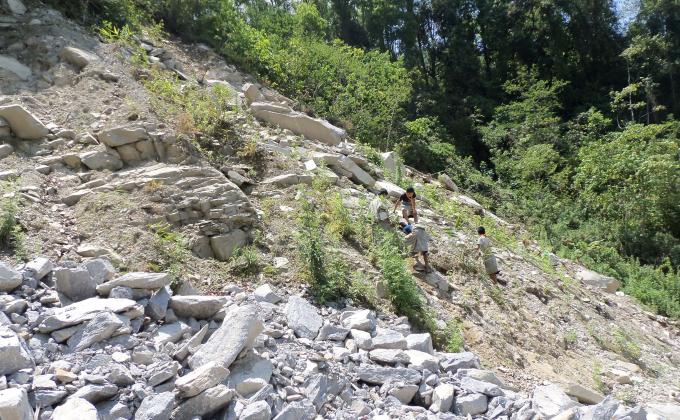 Social Forestry Day  (Plantation)