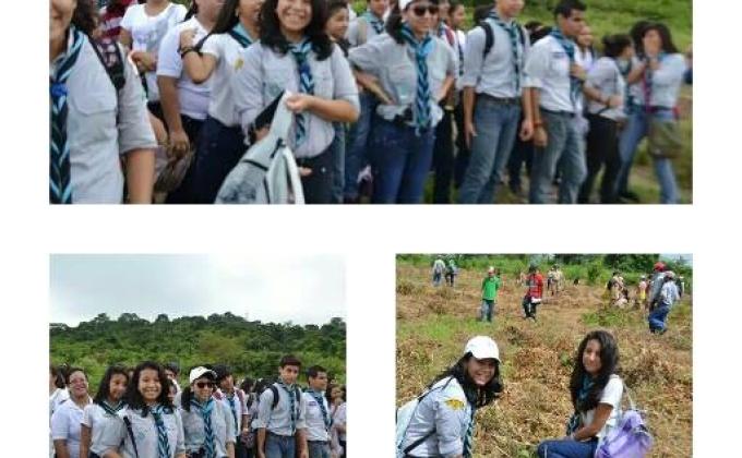 TREES FOR THE WORLD 2014