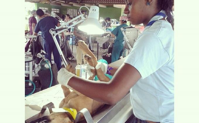 Ayuda a la fundación SPAY Panamá en la jornada de esterilización de perros