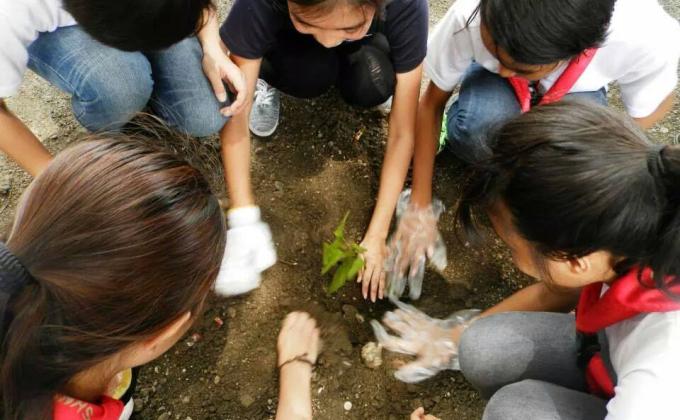 TREE PLANTING