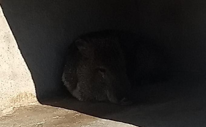 Demostración de Agroecosistemas y Naturaleza (DAN)