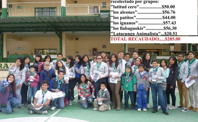 Ayuda a sociedades sin animo de lucro para ayudar  a las mascotas callejeras