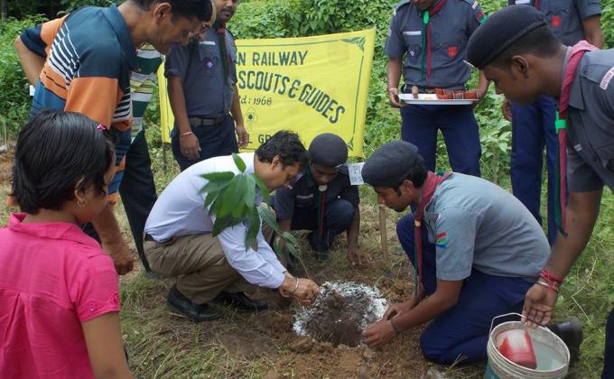 tree plantation