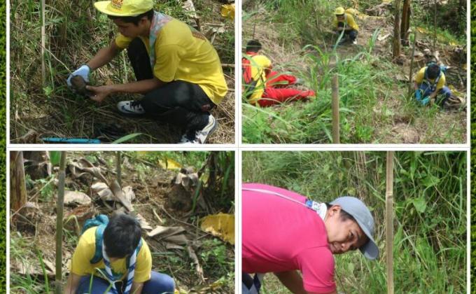MoP Tree Planting 