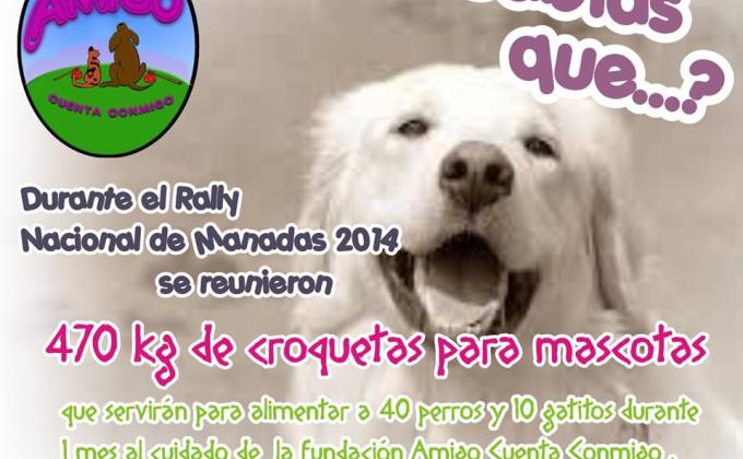 Croquetón Rally Nacional de Manadas 