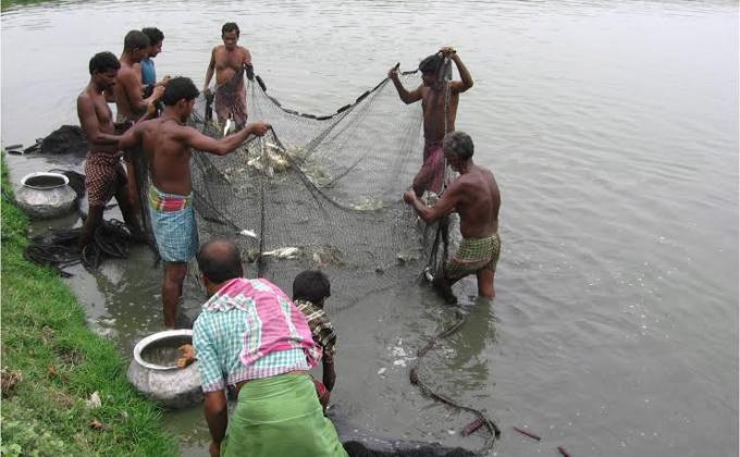 Save East Kolkata Wetlands Project