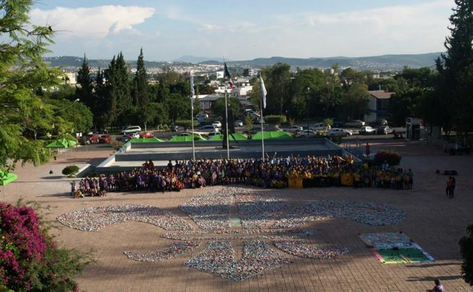 Flor de Lis más Grande de Querétaro