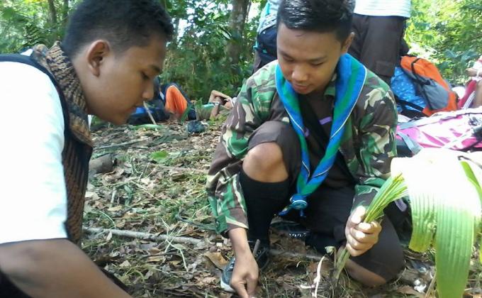 go green 