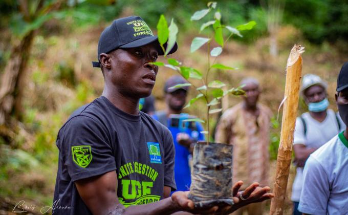 Semaine "Planting" à Anguédédou