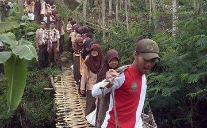 Bridge Bamboo