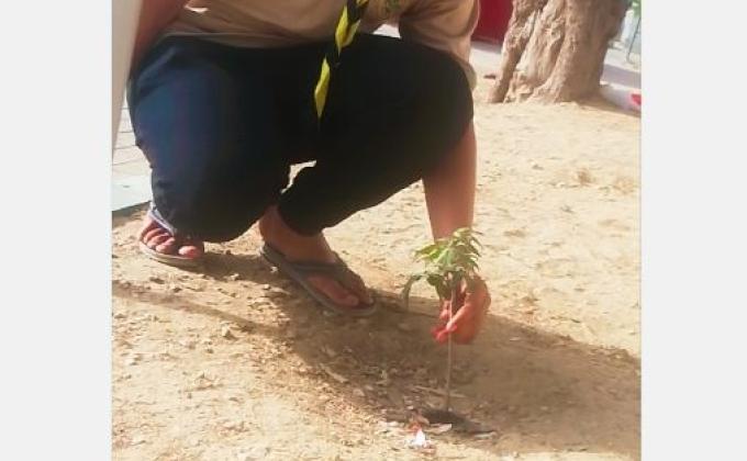 Isna Asheri Scout's One Scout One Tree Project ~ 2nd Plantation Drive