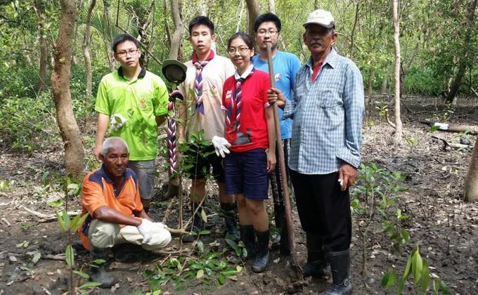 100 Mangrove Trees Planting and Mural Art Drawing