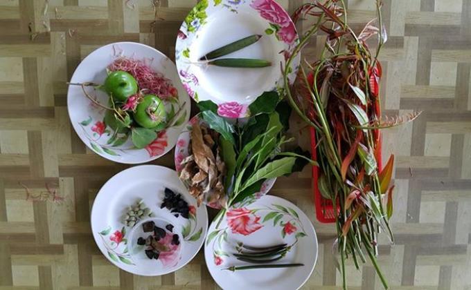 Mangrove Products Exploration & Embellish PIFWA Small Mangrove Education Centre