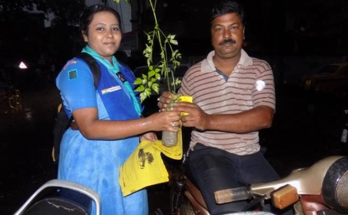 Tree Plantation & Sapling Distribution