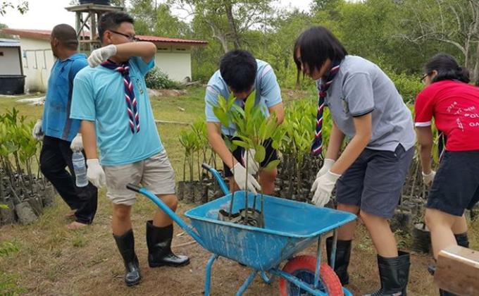 500 Mangrove Trees Planting in-conjunction with World Forestry Day