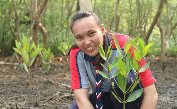 500 Mangrove Trees Planting in-conjunction World Forestry Day with iM4U and  Local Scouts 