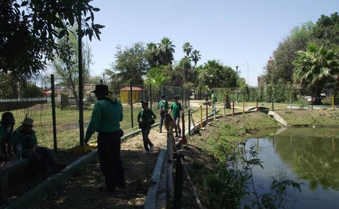 limpieza de parque de las tortugas