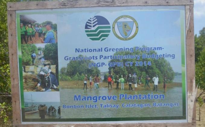 Mangrove Tree Planting