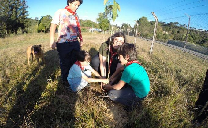 Trees For The World