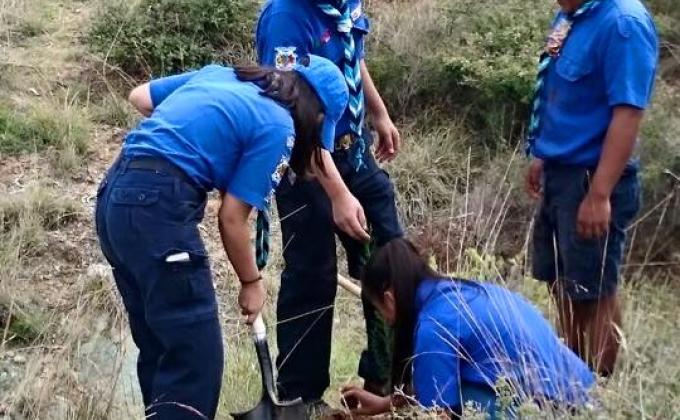 Reforestación en el marco internacional del medio ambiente Zacatecas 
