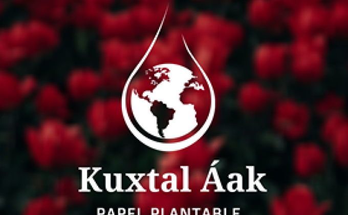 Kuxtal Áak Papel Plantable 