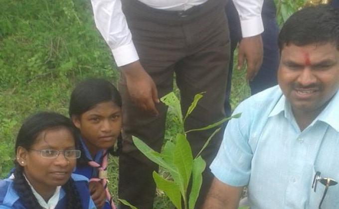 GRENERY CHHATTISGARH State 2015 (Plantation Programme), India